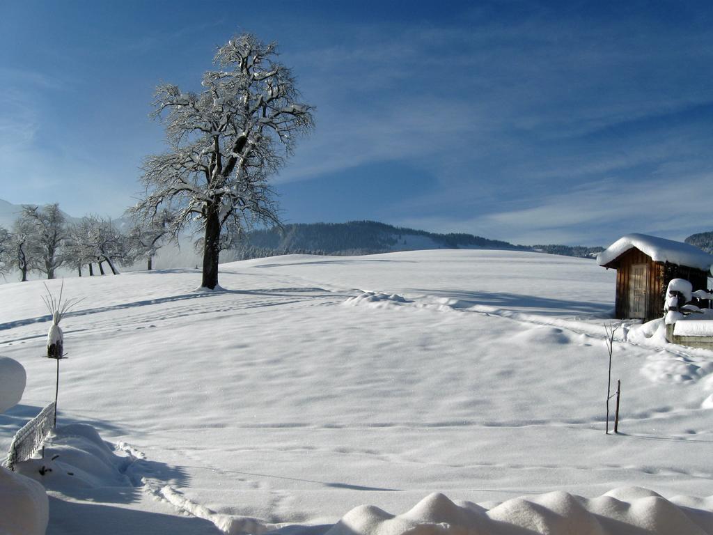 Schweizer Hof Βίλα Schwarzenberg im Bregenzerwald Εξωτερικό φωτογραφία