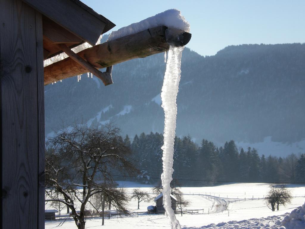 Schweizer Hof Βίλα Schwarzenberg im Bregenzerwald Εξωτερικό φωτογραφία