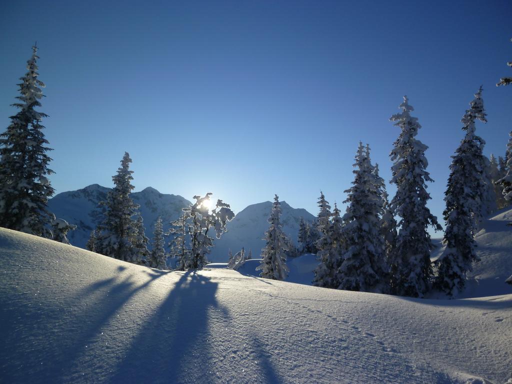 Schweizer Hof Βίλα Schwarzenberg im Bregenzerwald Εξωτερικό φωτογραφία