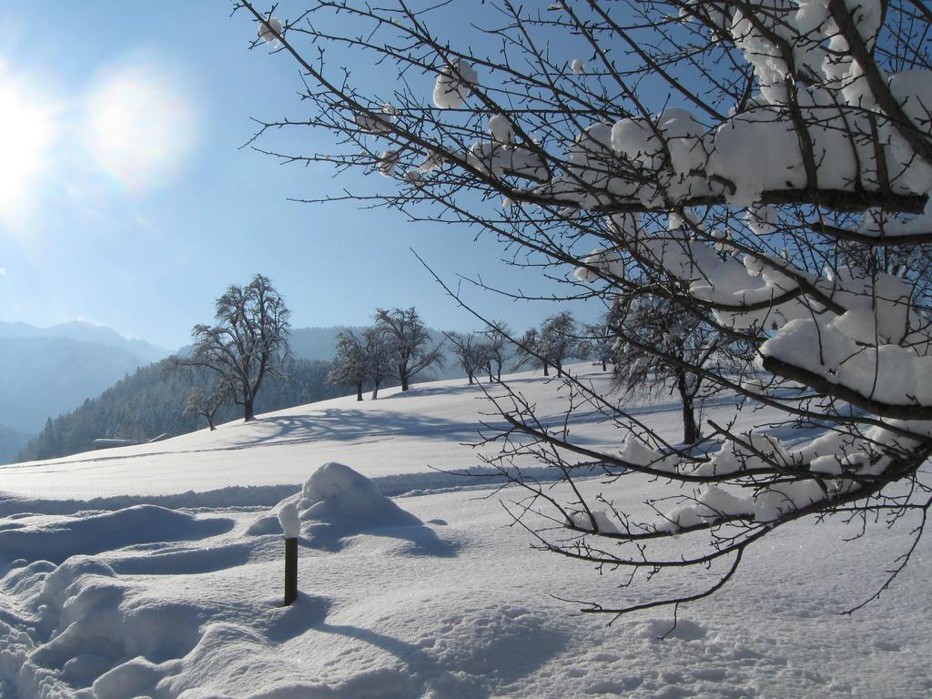 Schweizer Hof Βίλα Schwarzenberg im Bregenzerwald Εξωτερικό φωτογραφία