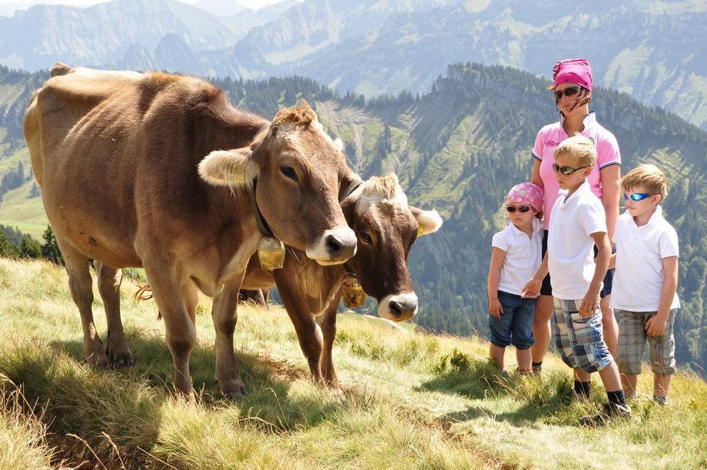 Schweizer Hof Βίλα Schwarzenberg im Bregenzerwald Εξωτερικό φωτογραφία