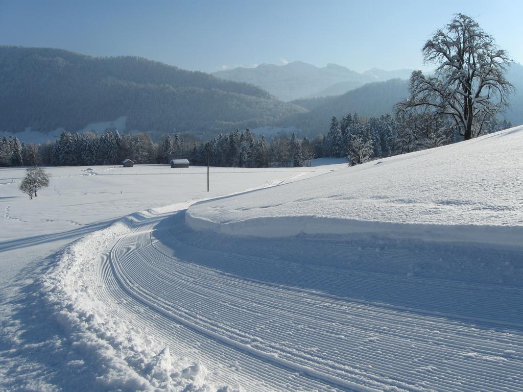 Schweizer Hof Βίλα Schwarzenberg im Bregenzerwald Εξωτερικό φωτογραφία